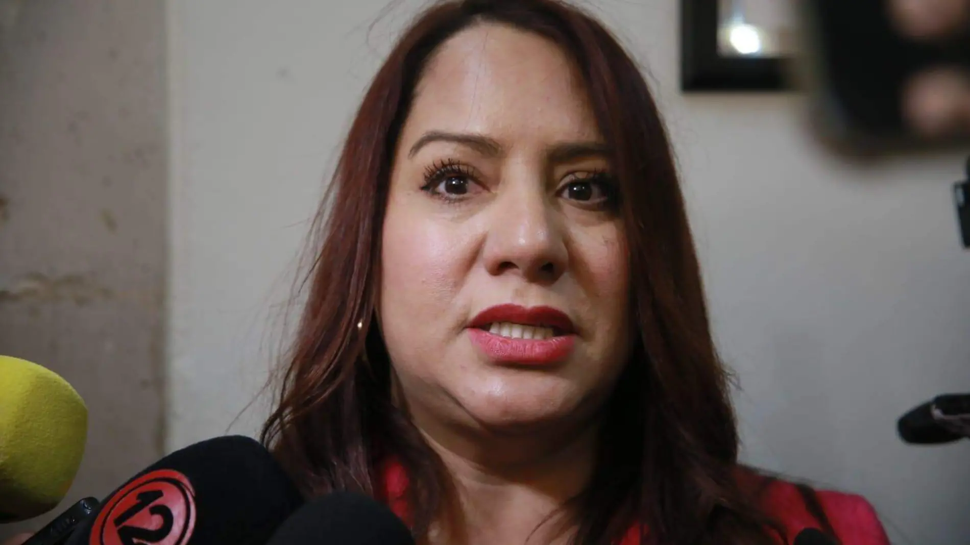 Sandra Amaya invita a redoblar esfuerzos en el Congreso